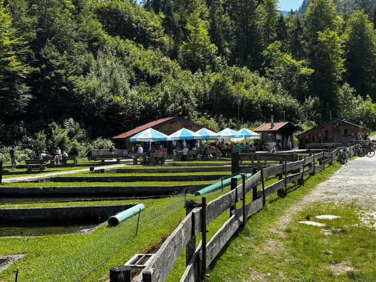 Herzogliche Fischzucht