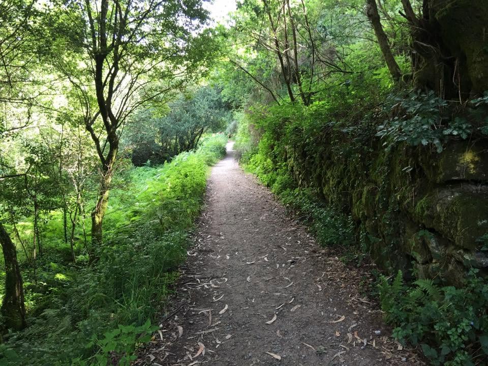 Der Jakobsweg: Der Weg nach Santiago de Compostela