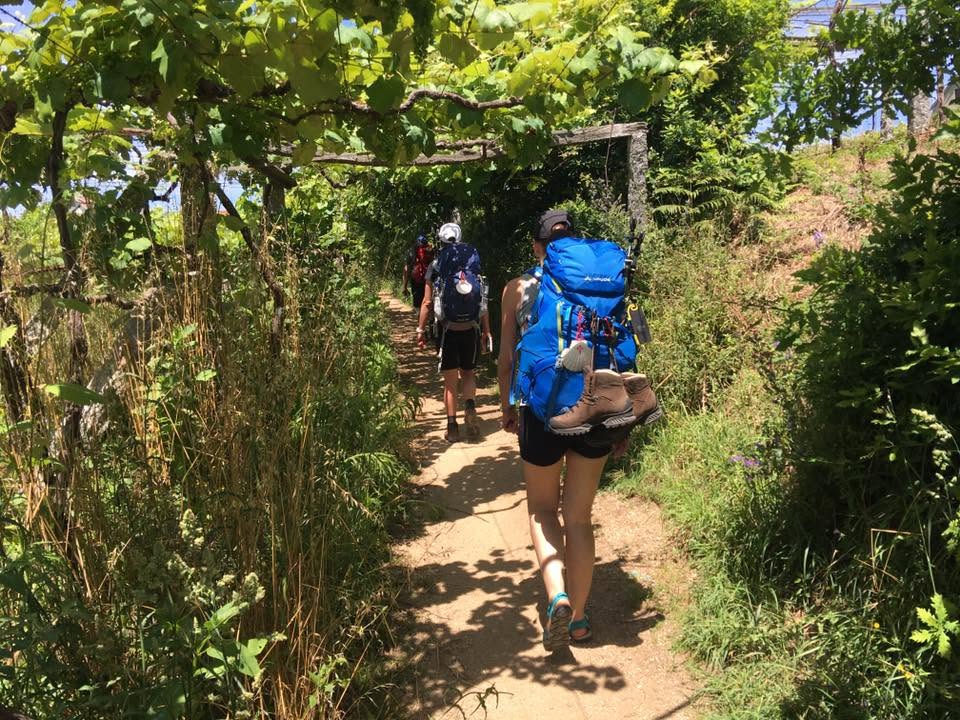 Der Jakobsweg: Der Weg nach Santiago de Compostela