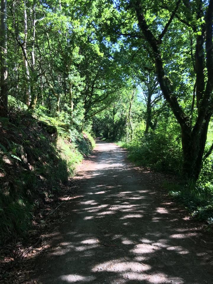 Der Jakobsweg: Der Weg nach Santiago de Compostela