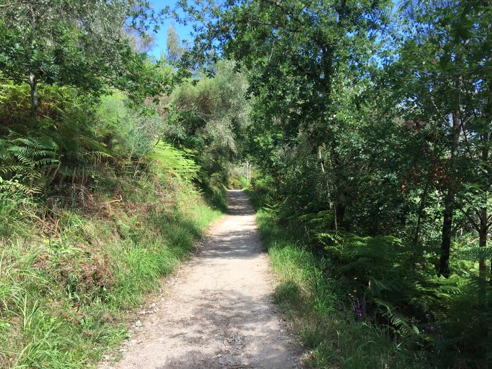 Der Jakobsweg: Der Weg nach Santiago de Compostela