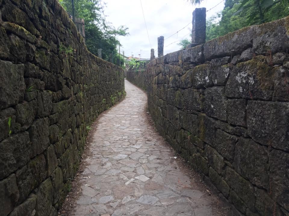 Der Jakobsweg: Der Weg nach Santiago de Compostela