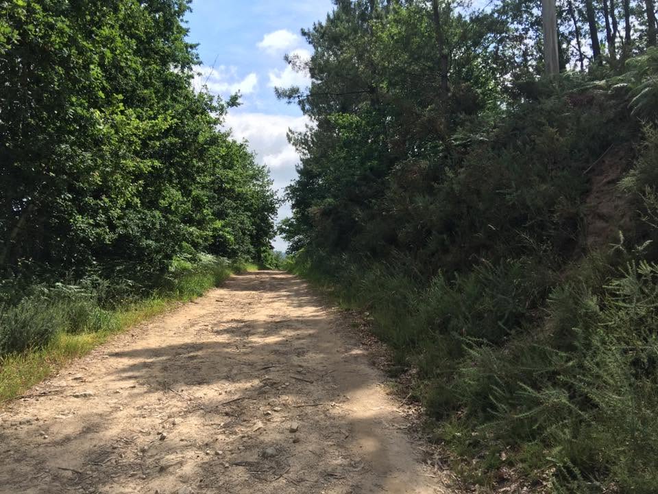 Der Jakobsweg: Der Weg nach Santiago de Compostela