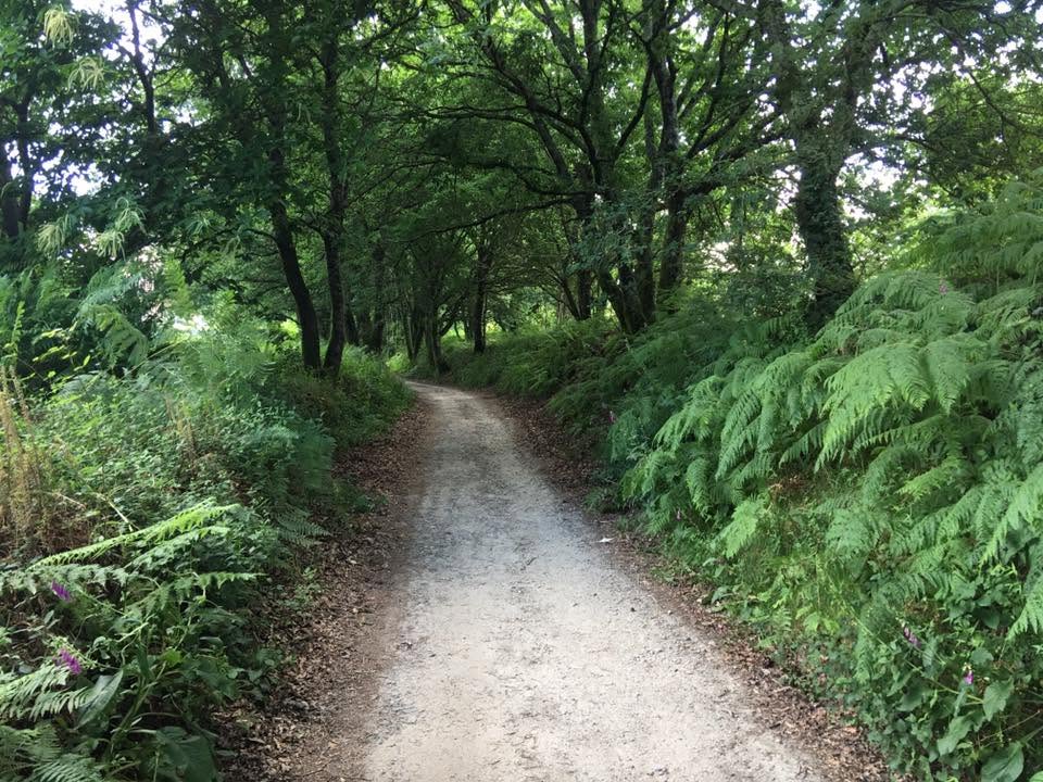 Der Jakobsweg: Der Weg nach Santiago de Compostela