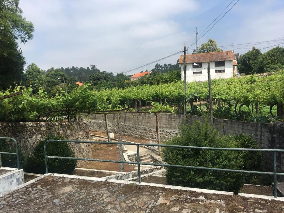 Der Jakobsweg: Der Weg nach Santiago de Compostela
