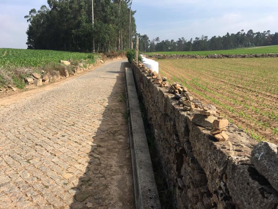 Der Jakobsweg: Der Weg nach Santiago de Compostela