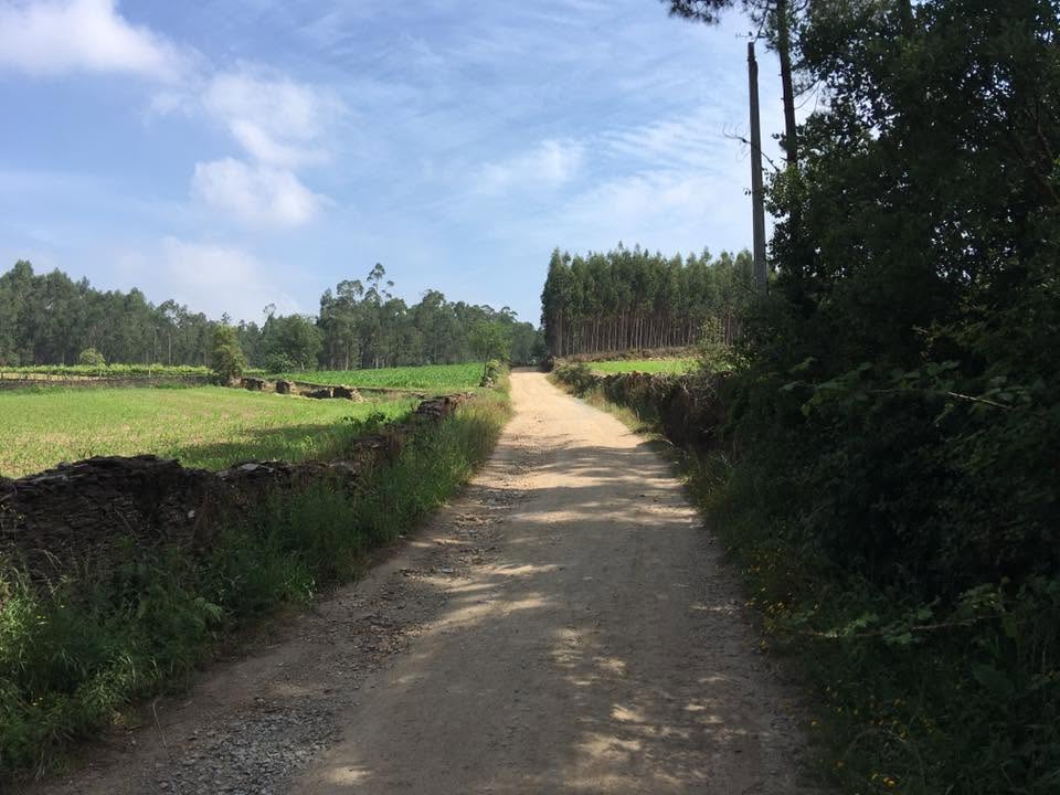 Der Jakobsweg: Der Weg nach Santiago de Compostela