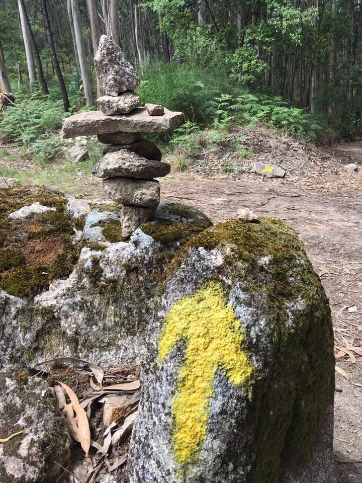 Der Jakobsweg: Der Weg nach Santiago de Compostela