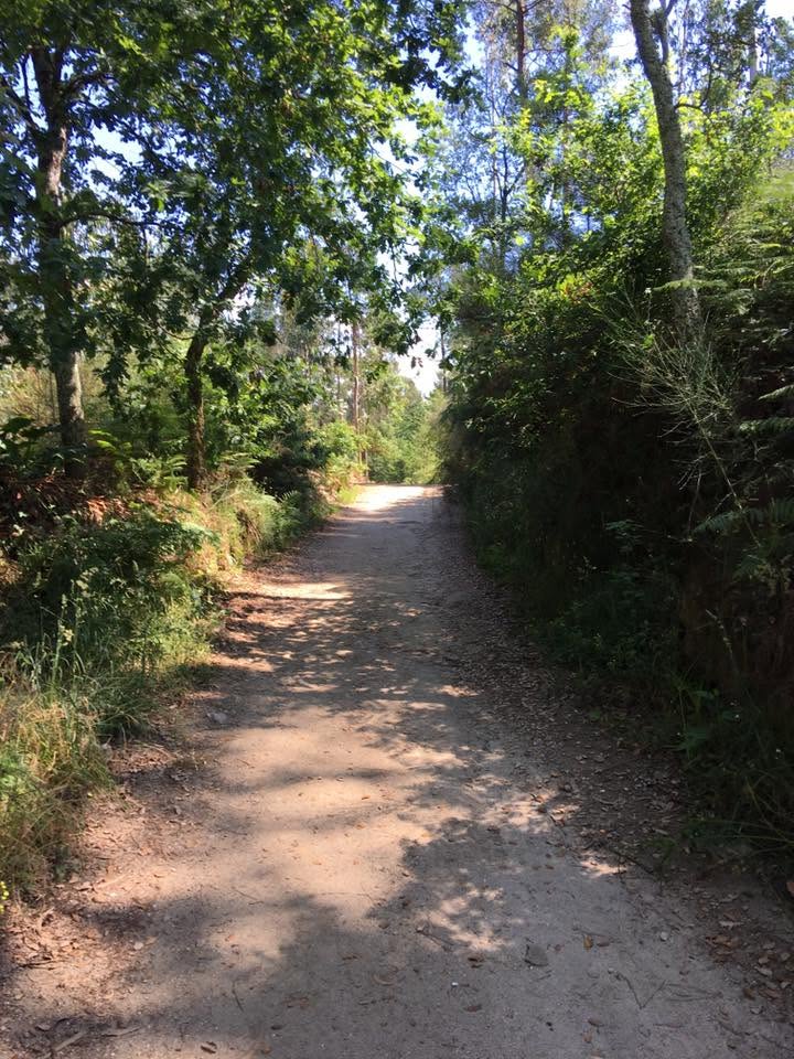 Der Jakobsweg: Der Weg nach Santiago de Compostela