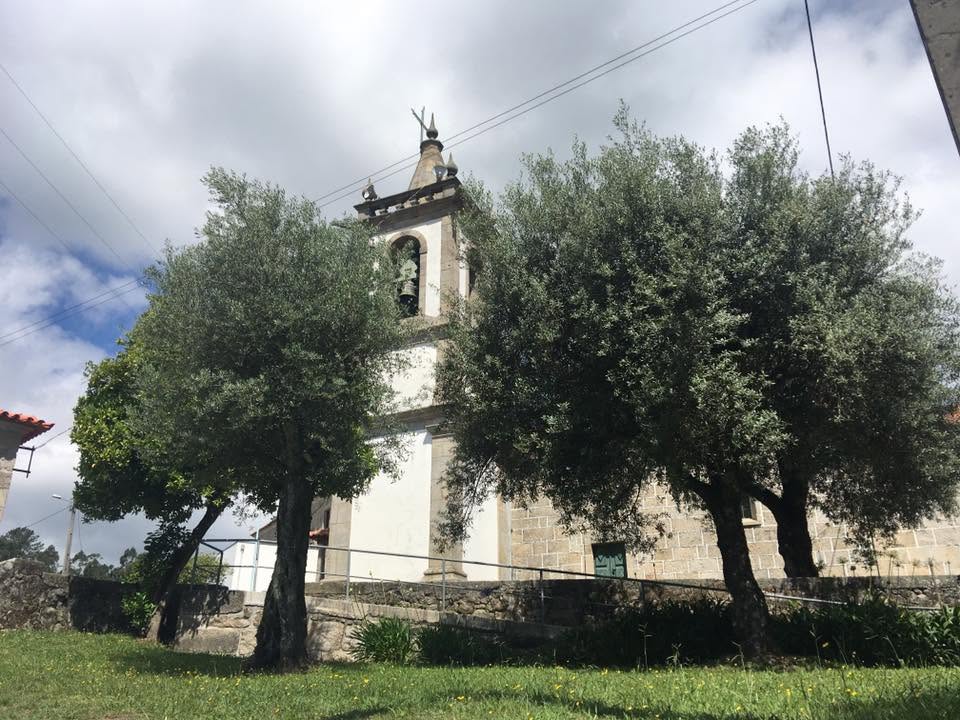 Der Jakobsweg: Der Weg nach Santiago de Compostela