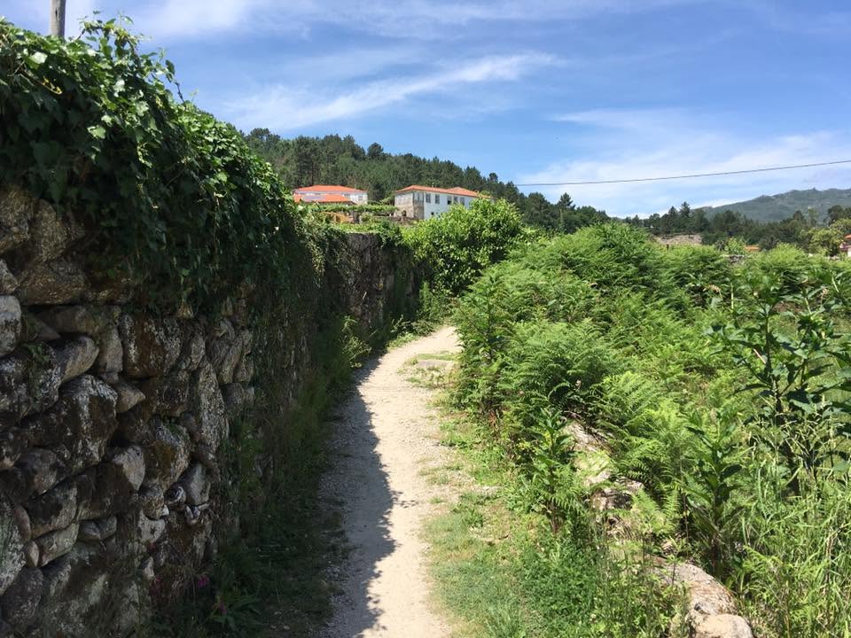 Der Jakobsweg: Der Weg nach Santiago de Compostela