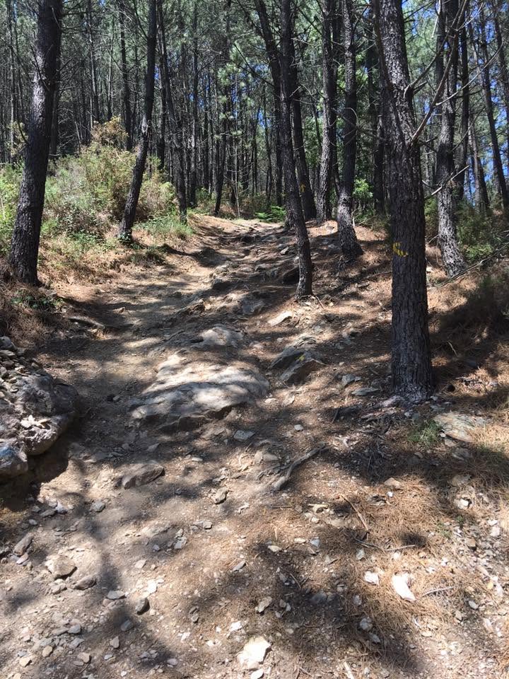 Der Jakobsweg: Der Weg nach Santiago de Compostela