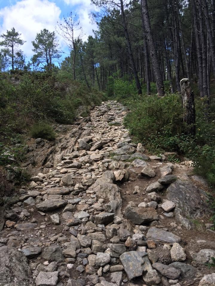 Der Jakobsweg: Der Weg nach Santiago de Compostela