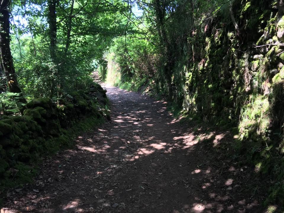 Der Jakobsweg: Der Weg nach Santiago de Compostela