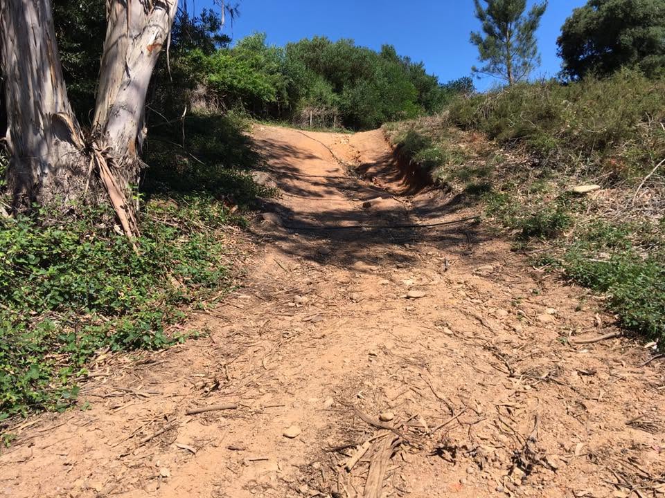 Der Jakobsweg: Der Weg nach Santiago de Compostela