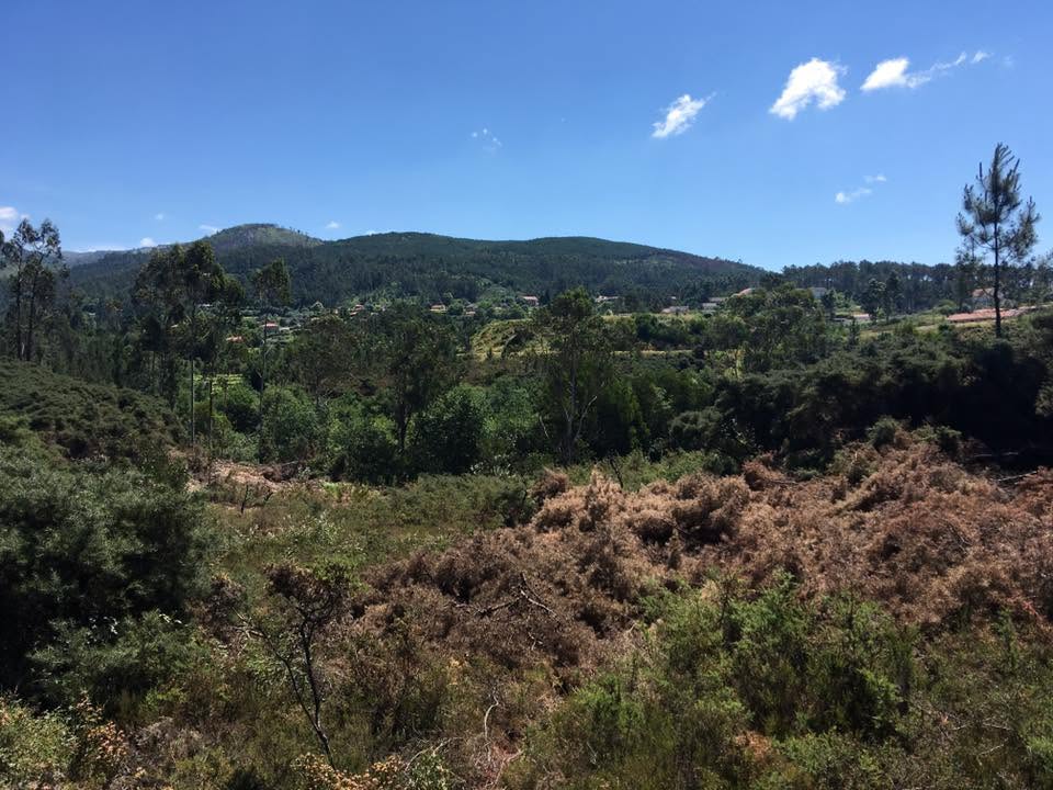 Der Jakobsweg: Der Weg nach Santiago de Compostela
