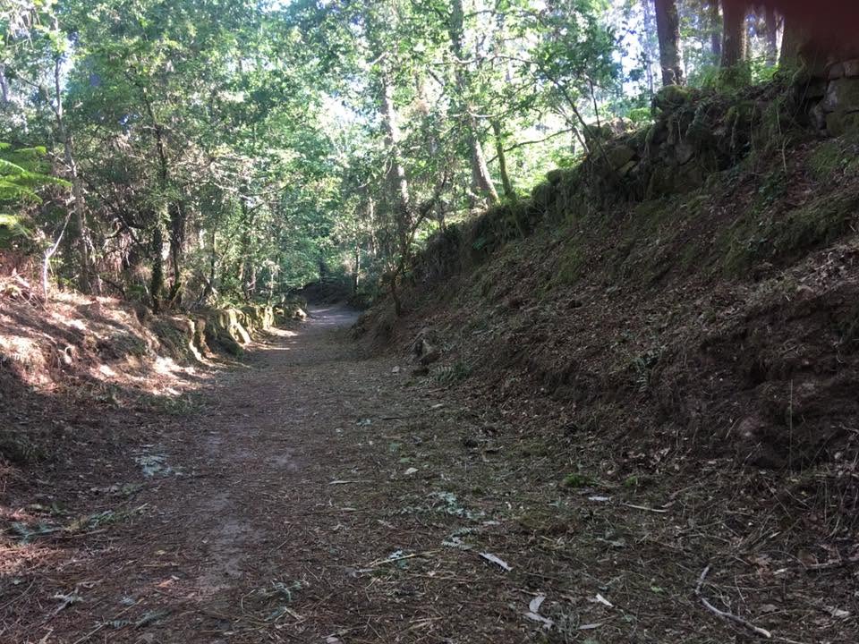 Der Jakobsweg: Der Weg nach Santiago de Compostela