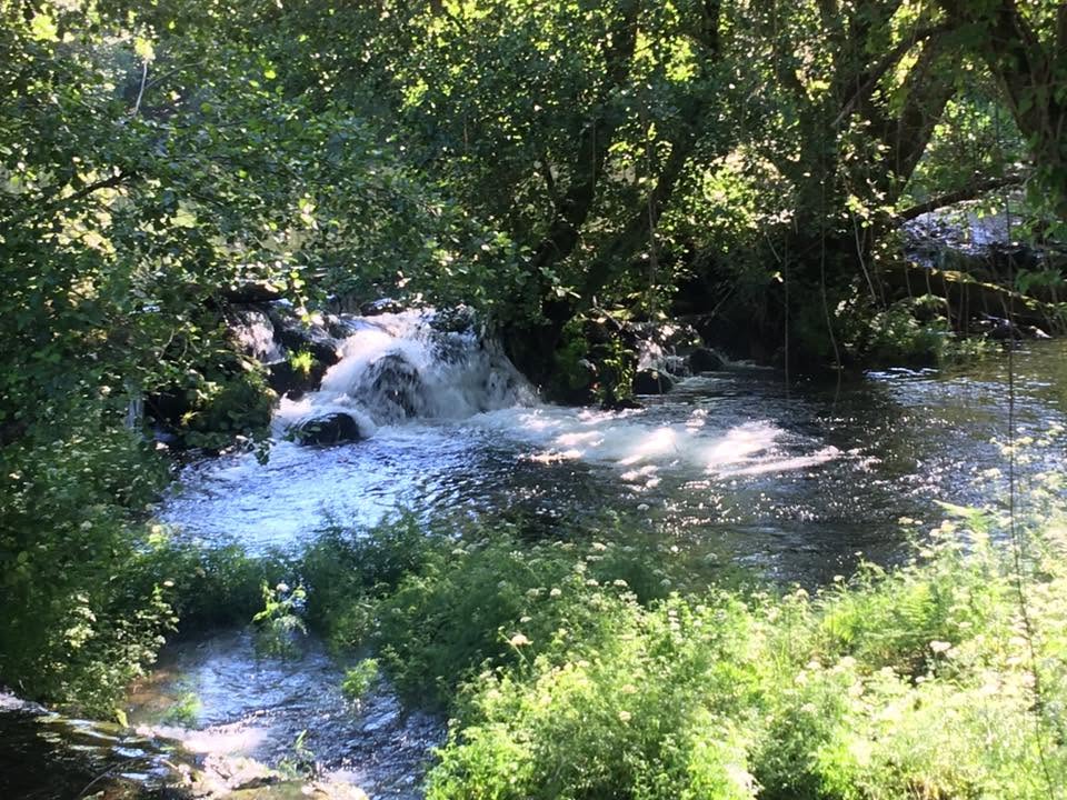 Der Jakobsweg: Der Weg nach Santiago de Compostela