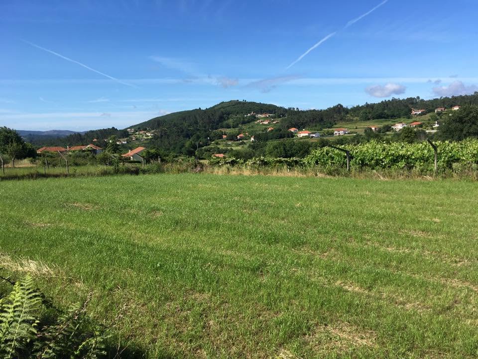 Der Jakobsweg: Der Weg nach Santiago de Compostela