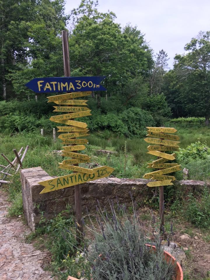 Der Jakobsweg: Der Weg nach Santiago de Compostela