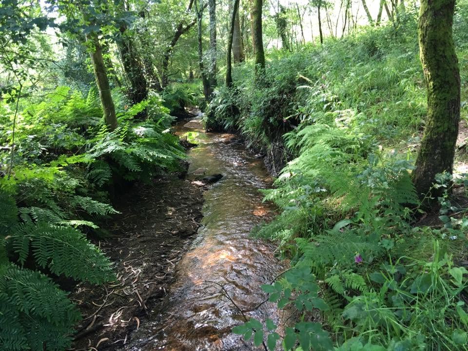 Der Jakobsweg: Der Weg nach Santiago de Compostela