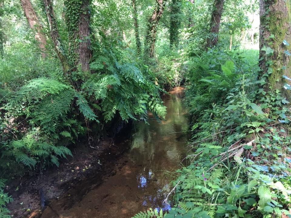 Der Jakobsweg: Der Weg nach Santiago de Compostela