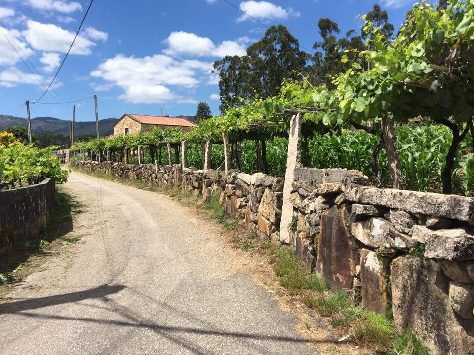Der Jakobsweg: Der Weg nach Santiago de Compostela
