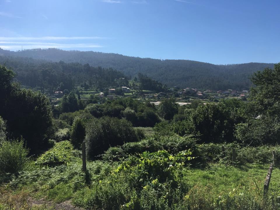 Der Jakobsweg: Der Weg nach Santiago de Compostela
