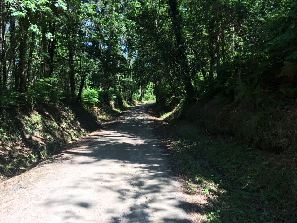 Der Jakobsweg: Der Weg nach Santiago de Compostela