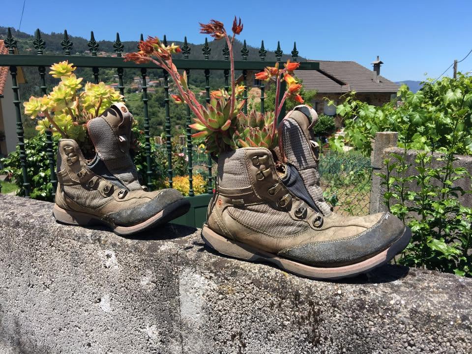 Der Jakobsweg: Der Weg nach Santiago de Compostela