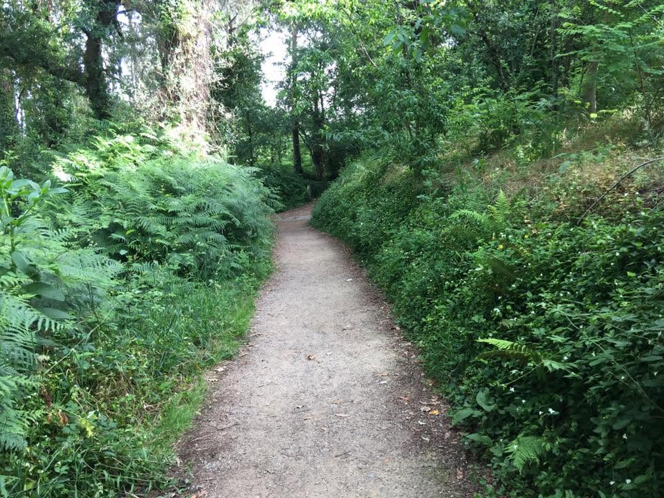 Der Jakobsweg: Der Weg nach Santiago de Compostela