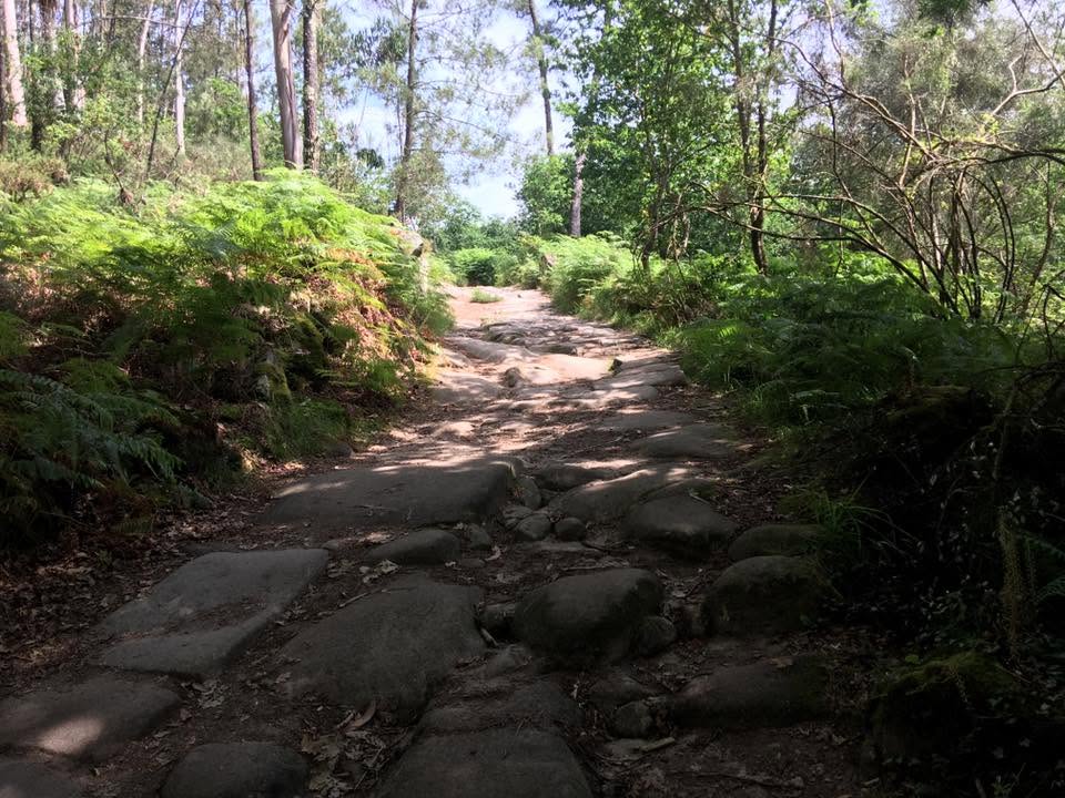 Der Jakobsweg: Der Weg nach Santiago de Compostela