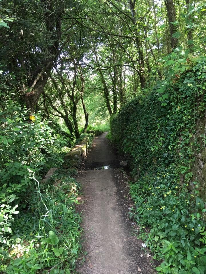 Der Jakobsweg: Der Weg nach Santiago de Compostela