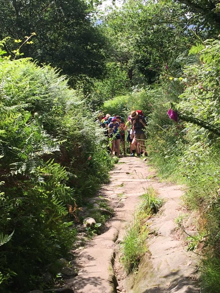 Der Jakobsweg: Der Weg nach Santiago de Compostela