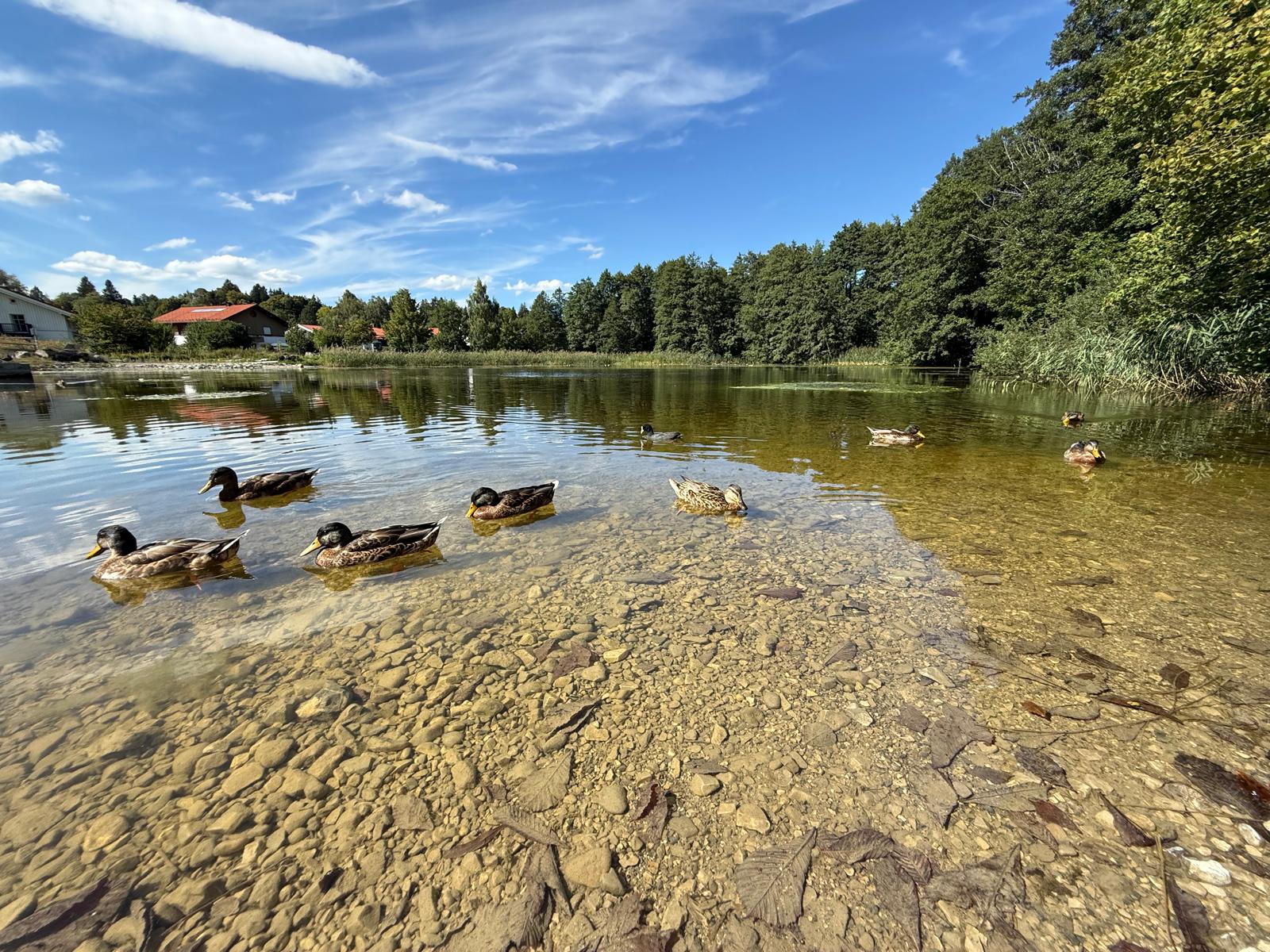 Klammerweiher