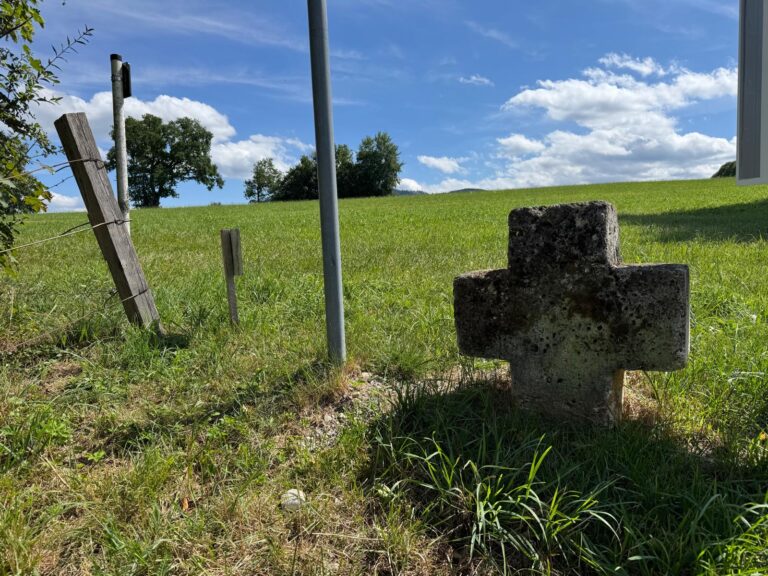 Pestkreuz