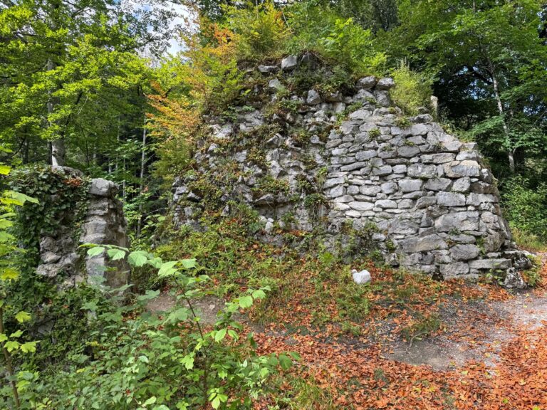 Ruine und Schloss Hohenburg