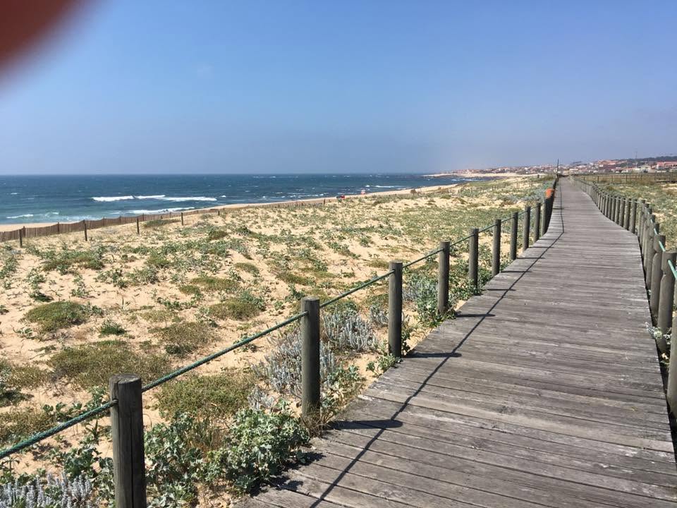Der Jakobsweg: Der Weg nach Santiago de Compostela