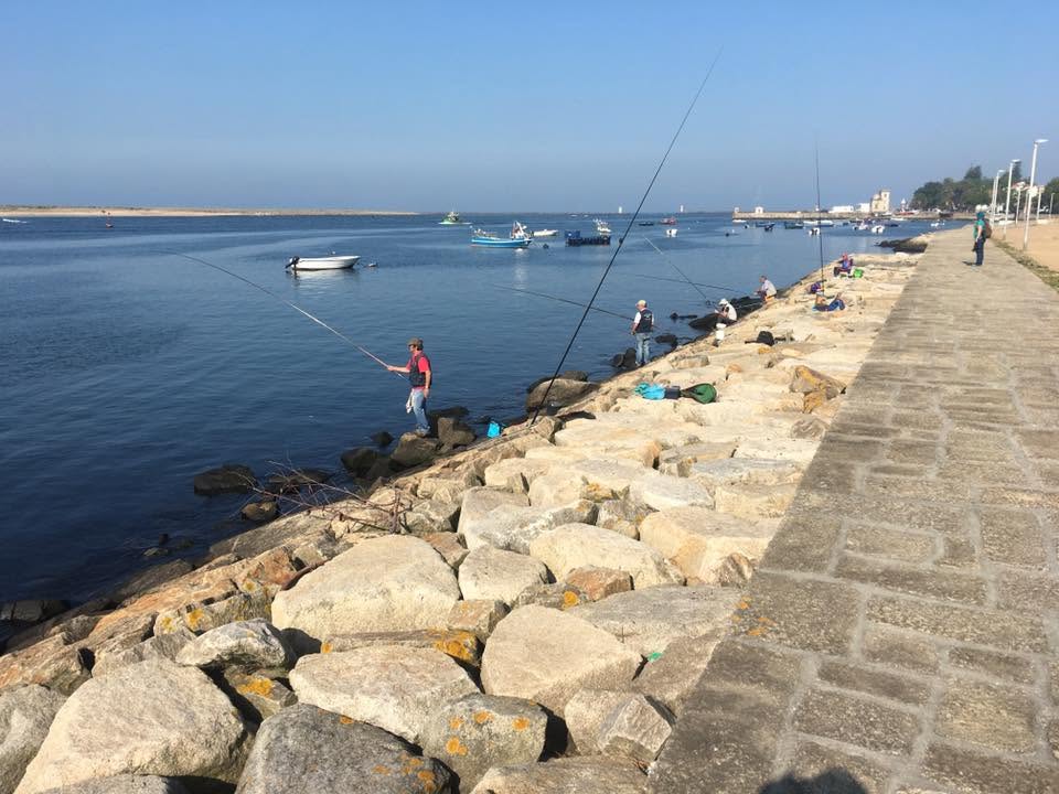 Der Jakobsweg: Der Weg nach Santiago de Compostela