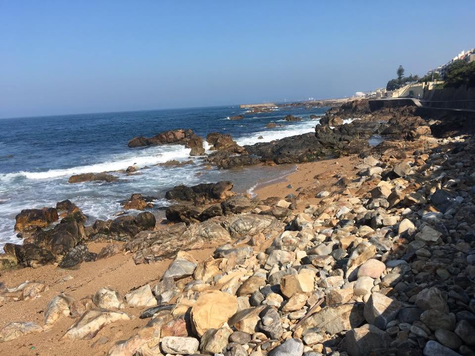Der Jakobsweg: Der Weg nach Santiago de Compostela