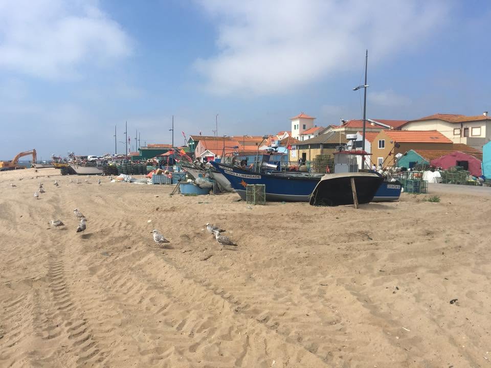 Der Jakobsweg: Der Weg nach Santiago de Compostela